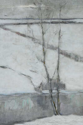 Бялыницкий-Бируля Витольд Каэтанович. В конце зимы 